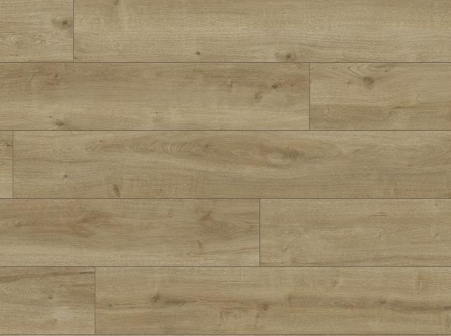 Ламинат 8 мм 4V WR LIFE Perugia Oak 64977 - Ламиниран паркет
