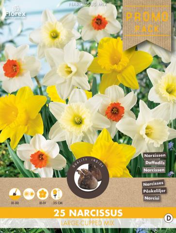 Луковици Нарциси Large flowering-mixed 25бр. - Външни растения