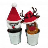 Кактус Santa ф7.5 см