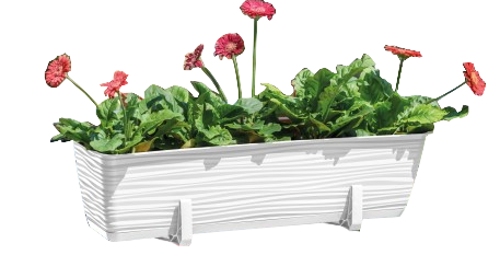 Сандъче Sahara box с подложка 60 см бяло - Пластмасови сандъчета