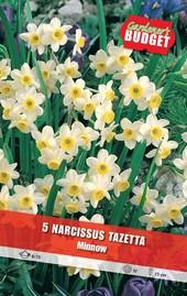 Луковици Budget Garden, снимка 10 - Външни растения