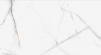 Гранитогрес Artic 60x120 White Matt