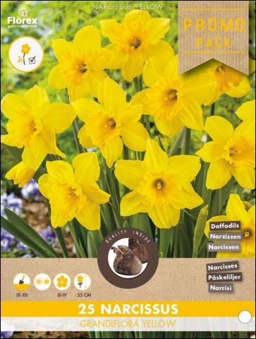 Луковици Нарцис Largecupped Yellow 25бр. - Външни растения
