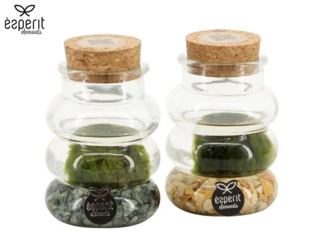 Декоративно водно растение Marimo ф7 см h10 см - Тиландсии и бромелии