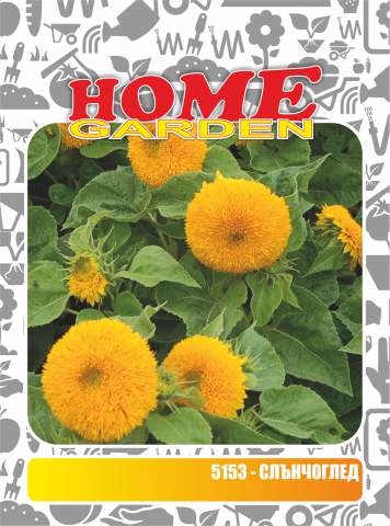 Семена за цветя HomeGarden СЛЪНЧОГЛЕД НИСЪК - Семена за цветя