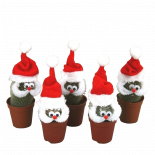Кактус Santa ф6.5 см
