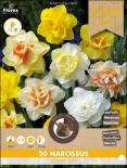 Луковици PP Нарцис Double - mixed, 20бр