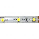 LED лента Lightex 60бр/м 12VDC 4.8W/метър IP44 4000К
