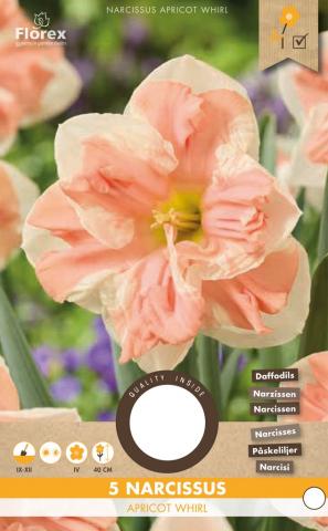 Луковици Нарцис Apricot Whirl 5 бр. - Външни растения