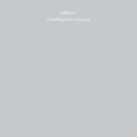 Интериорна боя Леко Сребърни йони 2.5 л сребърна лисица, снимка 2 - Интериорни бои