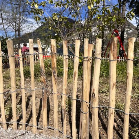 Градинска ограда от естествена леска HAZEL H=1.20м L=5.0м, снимка 2 - Ниски оградки