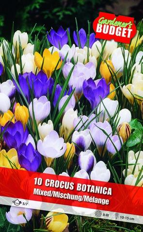 Botanical Crocusses mixed 5/7- Art. BG-825_0016 - Външни растения