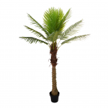 Изкуствена палма Areca H150 см
