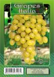 Лози NATURA VERA, микс