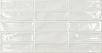 Фаянс Pool White Brillo 31.6x60