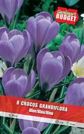 Луковици Budget Garden, снимка 8 - Външни растения