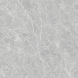 Гранитогрес Сидона 60x60 сив