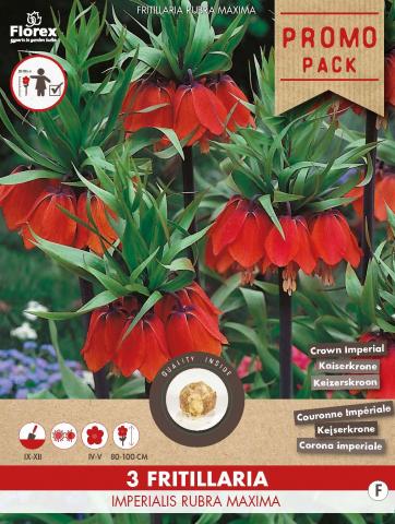 Луковици PP Фритилария Imperialis Rubra, 2бр. - Специалитети