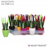 Сансевиера Velvet Touch ф6 см h18 см