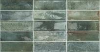 Фаянс Artline Aqua 31.6x60