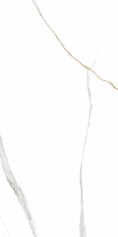 Гранитогрес Angel Statuario 60x120, снимка 2 - Гранитогрес