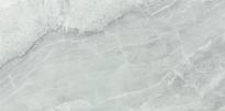 SPC Стенен Панел Ash Grey 120x60