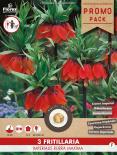 Луковици PP Фритилария Imperialis Rubra, 2бр.