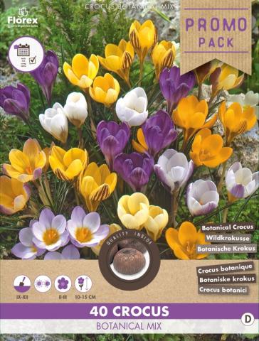 Луковици PP Минзухар Botanical mixed 40бр. - Външни растения