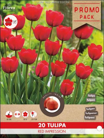 Луковици Лале Red Impression 20бр. - Външни растения