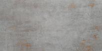 Фаянс Ferrum 29.8x59.8 Grey